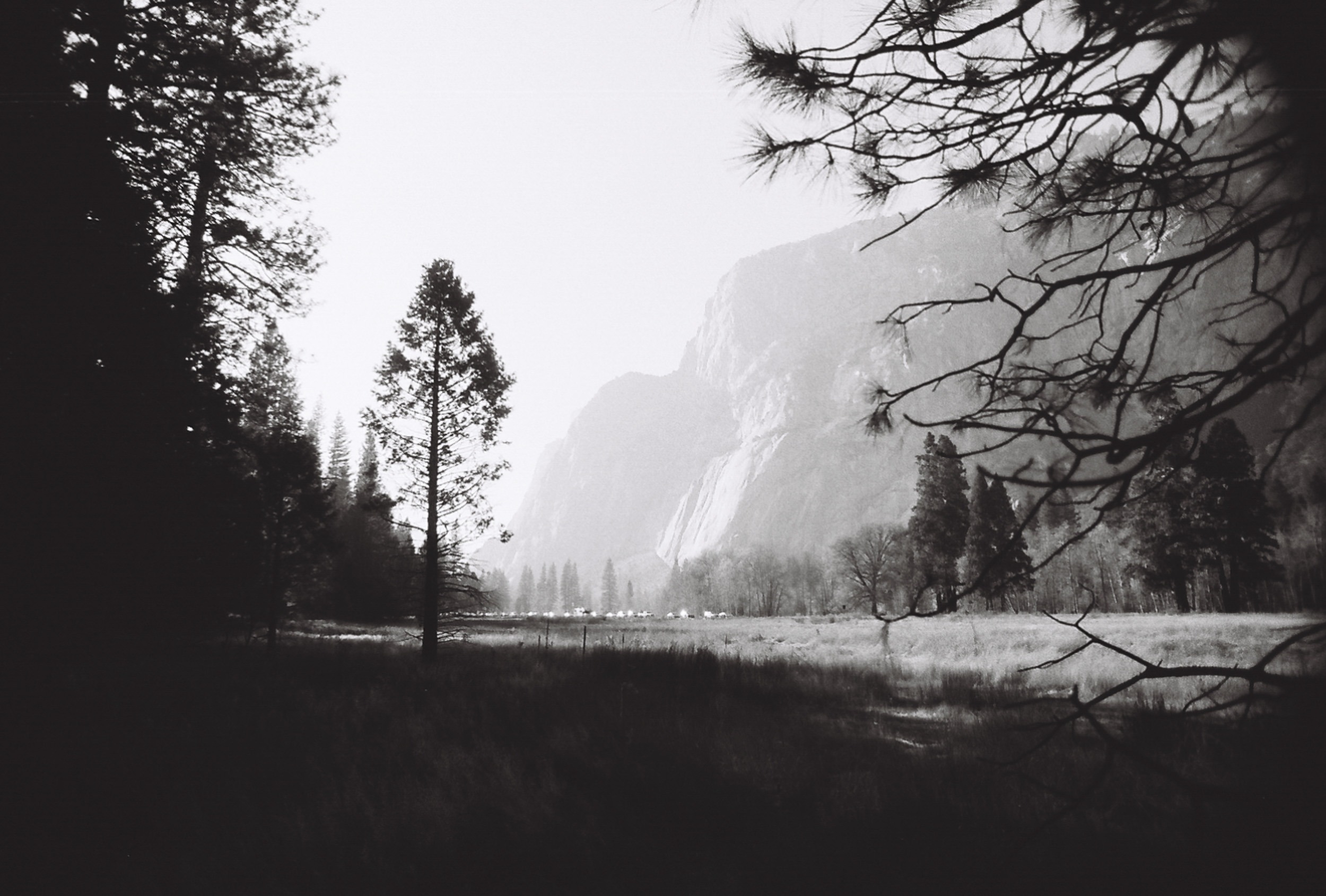 Yosemite Valley meadow, 35mm black and white
